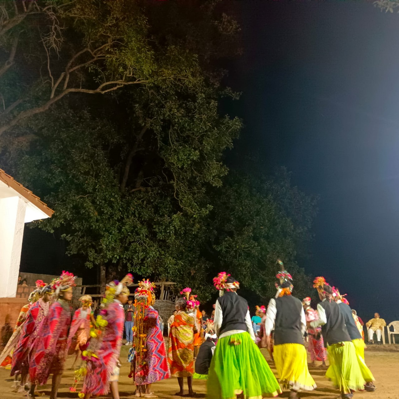 Baiga Dance